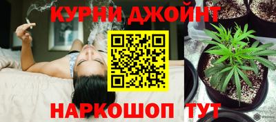 PSILOCYBIN Северобайкальск